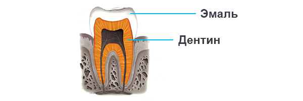 дентин эмаль схема зуба